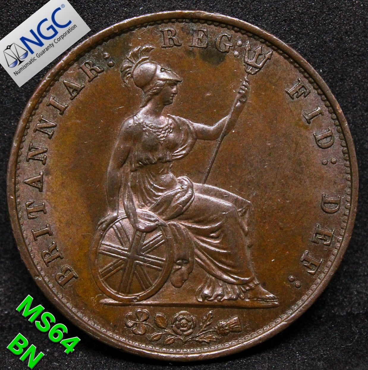 1852 G.BRITAIN 1/2 PENNY Queen Victoria .NGC MS 64 BN, top pop