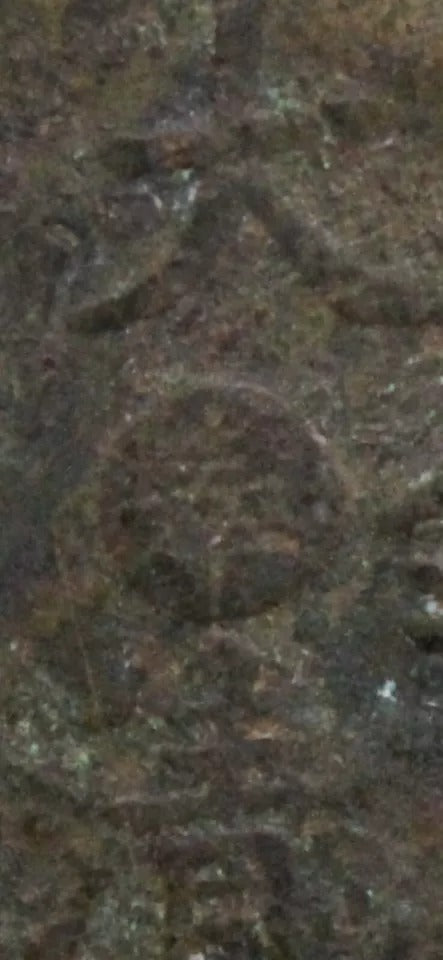 10 Cash 1905 Fengtien China/chinese Province. Y10e. F