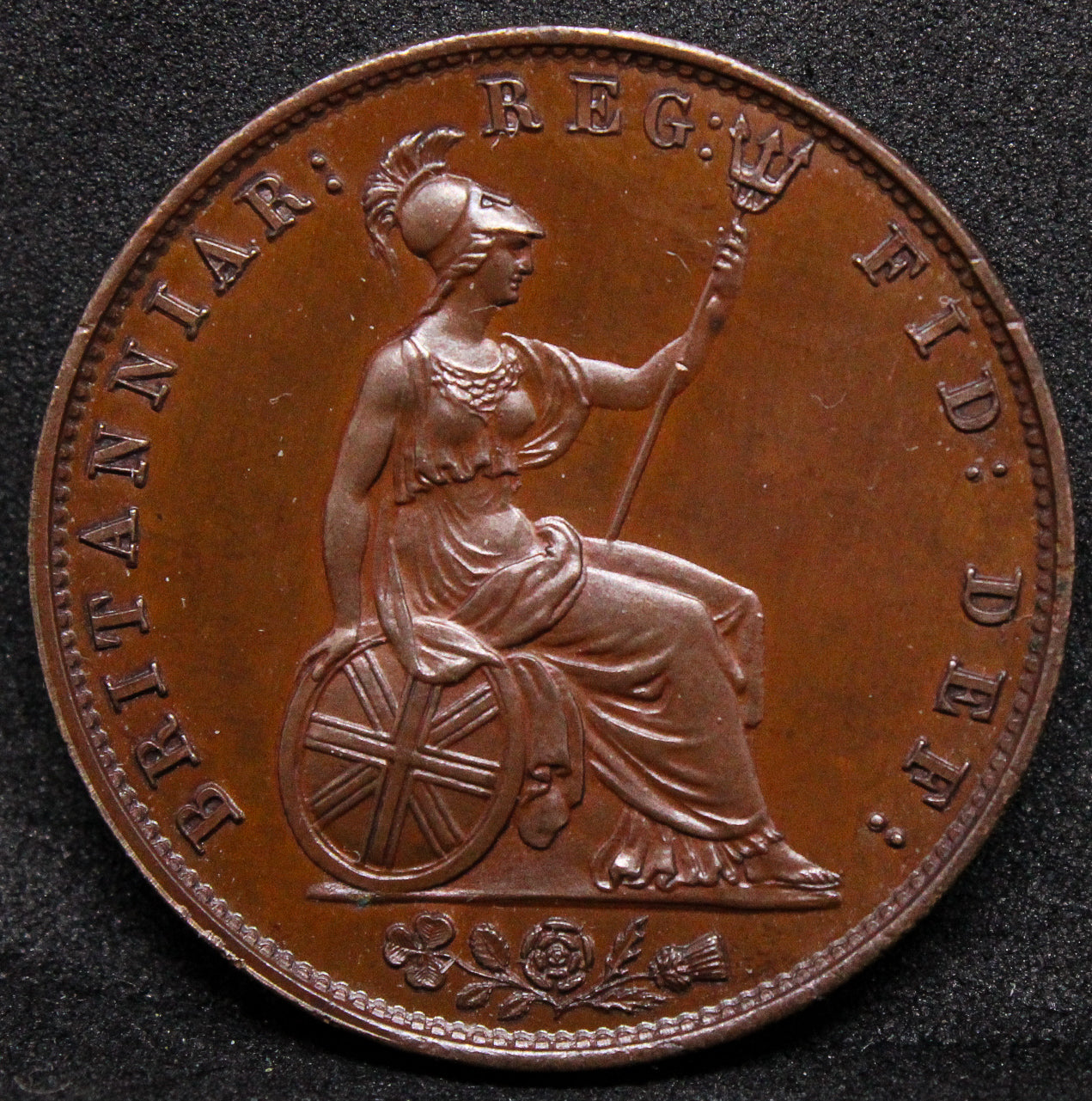1839 G.BRITAIN 1/2 PENNY Queen Victoria .NGC PF 65 BN TOP POP